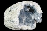 Large, Celestine (Celestite) Geode ( Lbs) - Large Crystals! #104615-4